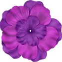 jThompson_purple_flower4