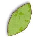 MLIVA_UBI-leaf8