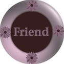 friend button