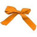 Orange Bow shadow