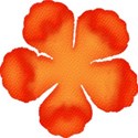 flowerdkorange