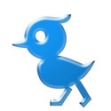 blue duck