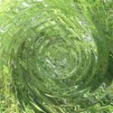 bambooswirl