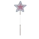 star pin