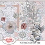 Winter Wonder Kit
