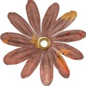 brown flower 4