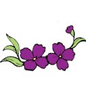 purpleflower
