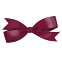 bow-burgandy 2