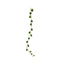 strand greenpea 2