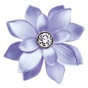 wisteria dreams_flower 1