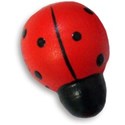 Ladybug 01 
