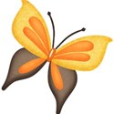 butterfly3