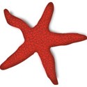 red_starfish