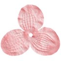 flowerpink3