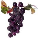 grape cluster 02