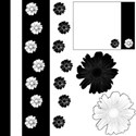 Cover Black and White with Flowers designs