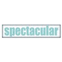 SPECTACULAR_spectacular_mikki