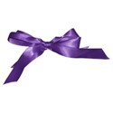 bow ribbon purple