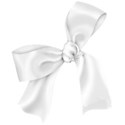 ribbon white 05