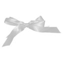 ribbon white 02