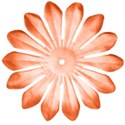 flowerorange