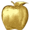 csb_apple-gold1