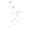 floating petals pink
