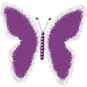 butterfly-purple