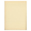 paper old notebook paper DS