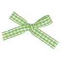 ribbon plaid 02 green