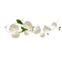 floating roses white vine