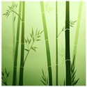 bamboo background green paper