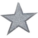 silver star 
