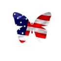 patriotic butterfly