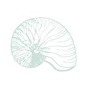 shell stamp