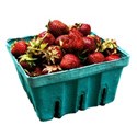 bucketstrawberries1