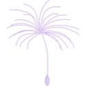 dandelion_seed_purple