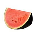 watermelon 1