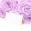 Mauve rose background