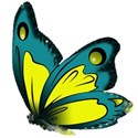 blue butterfly - Copy