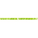 jThompson_lime_ribbon1