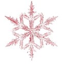 snowflake 06