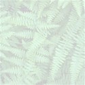 fern background 12x12