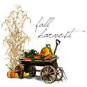 fall harvest