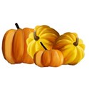 pumpkins sticker