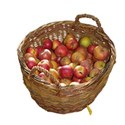 apple_basket