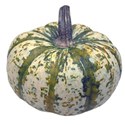 green_squash