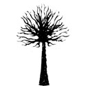 tree tall (8)