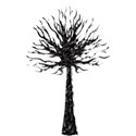 tree tall (6)