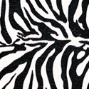 paper zebra big